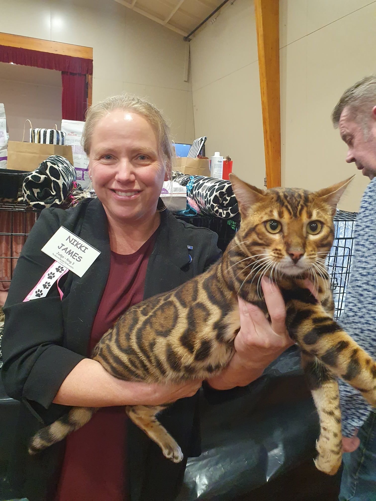 Photo 2 of Hunter the Male Bengal cat.